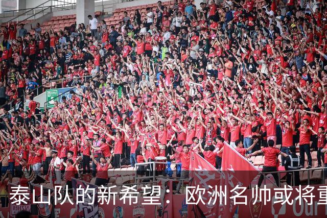泰山队的新希望：欧洲名帅或将重返中超